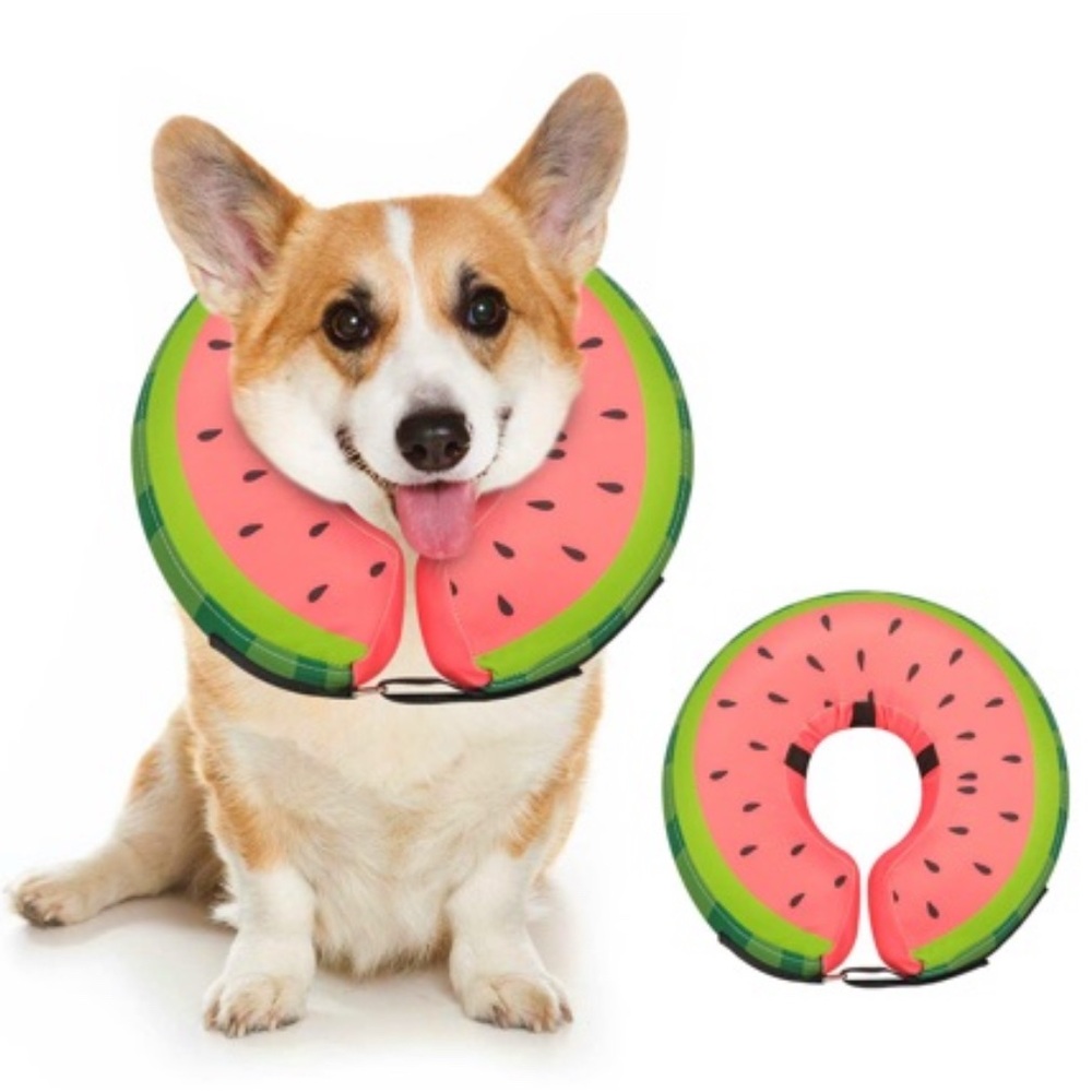 Watermelon dog cone- inflatable